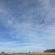Image for article titled I Flew A Plane And It Was A Dream Come True